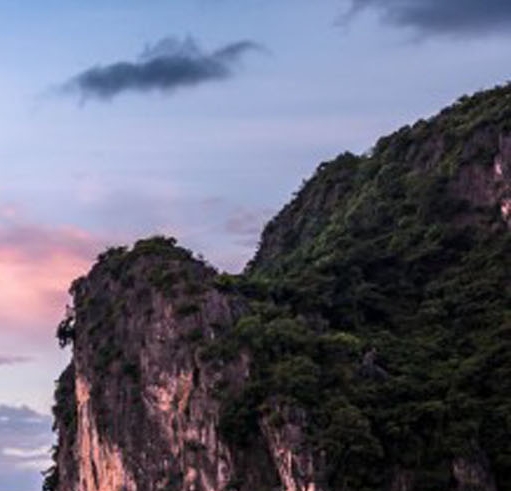 锦鲤黄粉使用方法