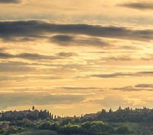 粉象生活 佣金制度