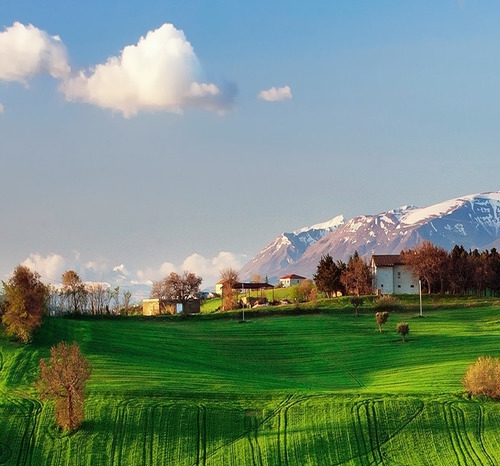 粉象生活是什么
