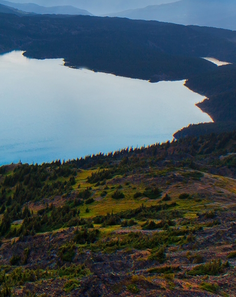 粉象生活和高佣联盟哪个好用