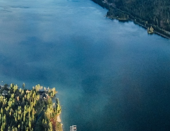 消费者联盟是什么