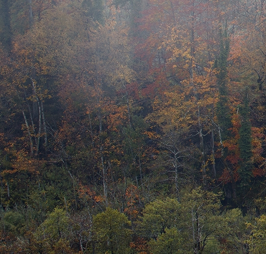 粉象生活邀请码