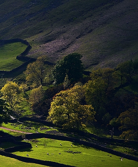粉象生活邀请id