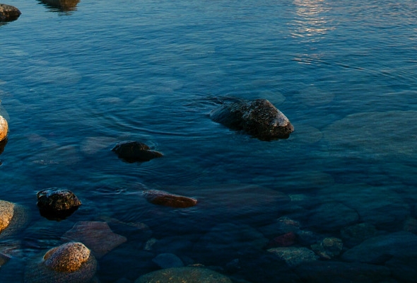 我从不按套路出牌