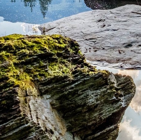 粉象生活骗局大揭秘