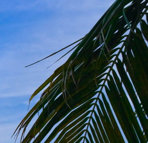 粉象生活是真的假的