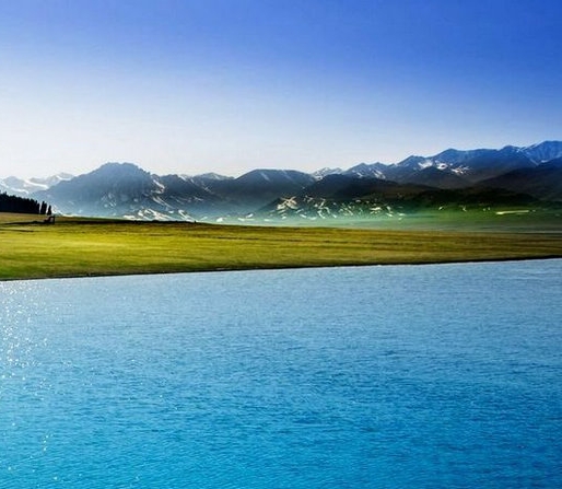 粉象生活佣金怎么算的