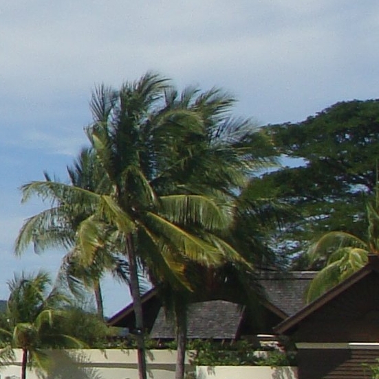 粉象生活官网邀请码