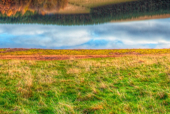 粉象生活是个坑