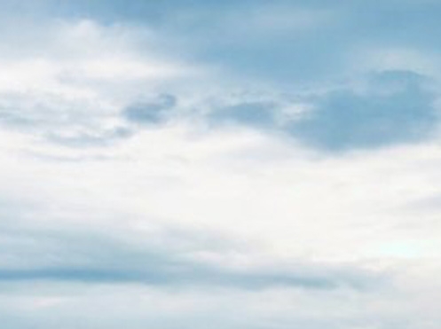 浅粉象啤酒产地