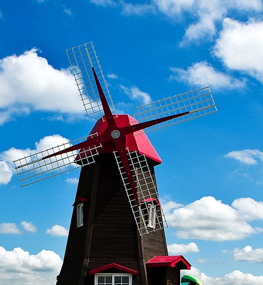 李红星 粉象生活