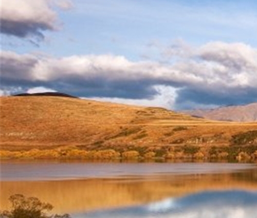 粉象vip什么好处