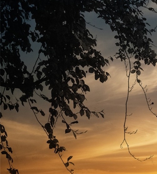 粉象生活邀请码9pzsvh