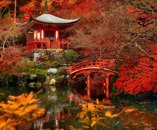 野山参粉多少钱一盒