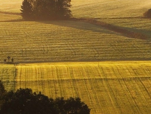 粉象生活邀请码填谁的最好