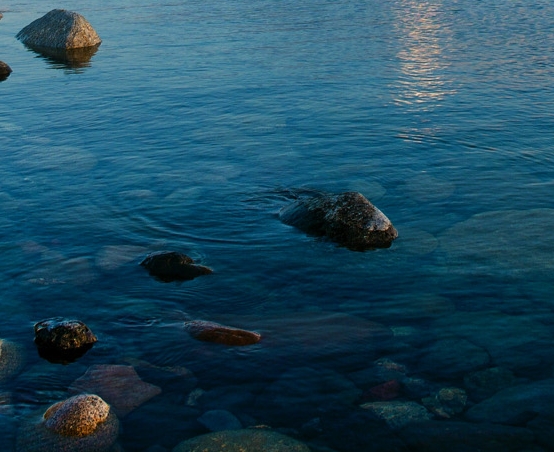 粉象生活邀请码OK选810560