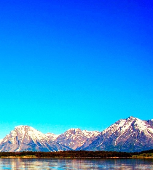 粉象生活怎么赚钱