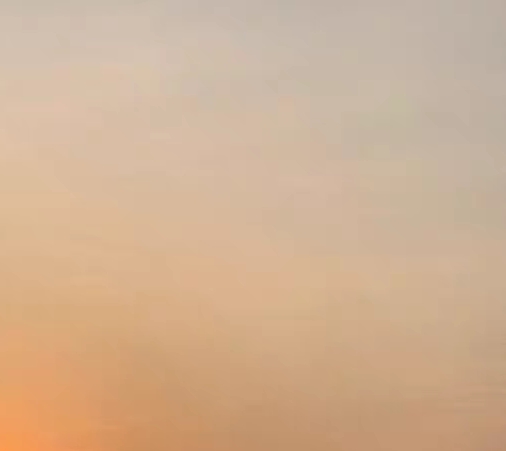 浅粉象啤酒百科