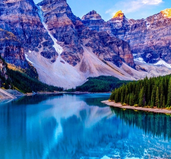 粉象生活优惠券是真的吗