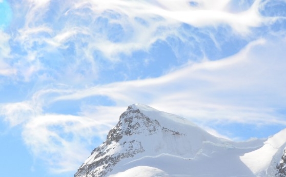 粉象优选佣金是什么