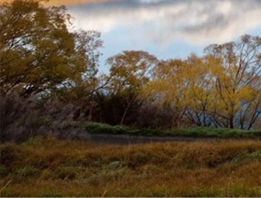 如何区分普通合伙人和有限合伙人