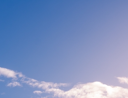 粉象生活是真的假的