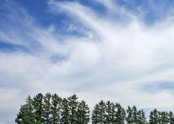 粉象追剧电脑版下载