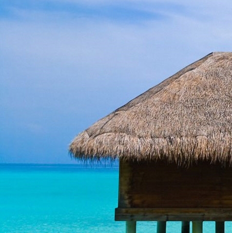 粉象生活和高佣联盟哪个好用