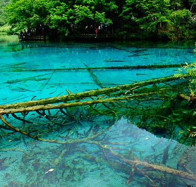 酒吧里的黑桃a香槟多少钱一瓶