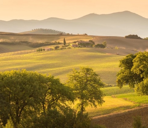粉象生活平台什么时候出的