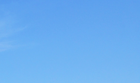 粉象生活分享后怎么没有佣金