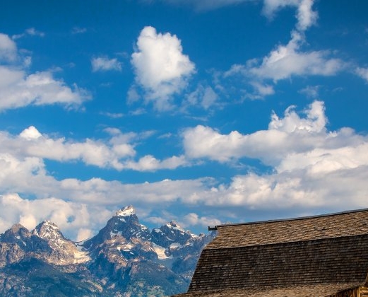 粉象生活粉丝怎么增加