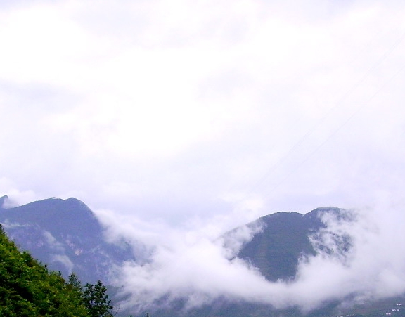 粉象生活什么时候出来的