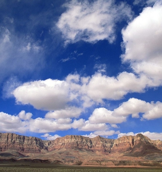 醉九公喝酒前喝还是喝酒后喝