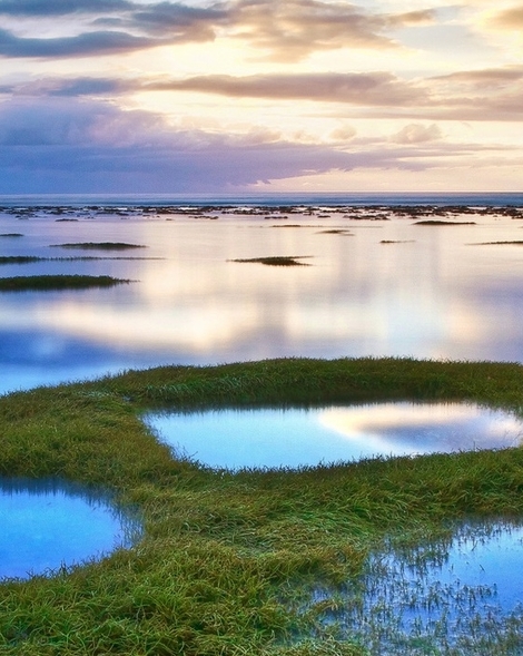 粉象啤酒怎么开不用