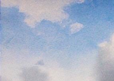 粉象生活天天领现金是真的吗