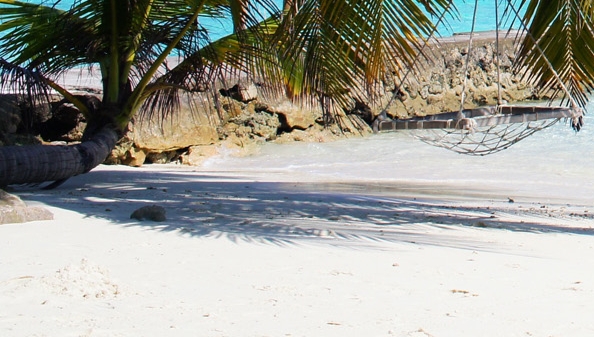 粉象生活上线发布会