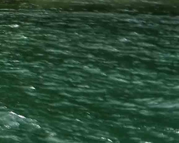 粉象生活里面我的订单点不开