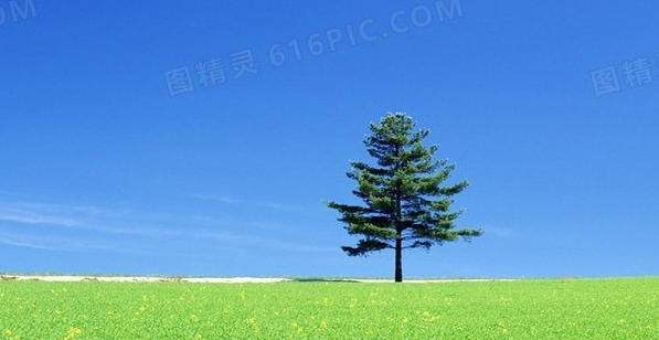 粉象啤酒是断片吗