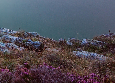 投钱返利是什么骗局