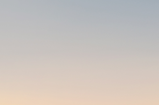 粉象生活0元购在哪里