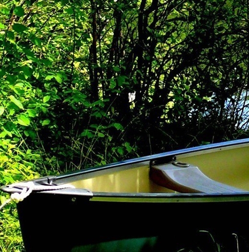 为什么要用粉象生活