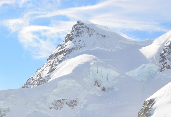 粉象生活合伙人是什么