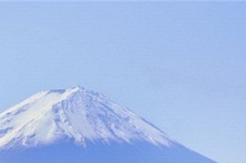 粉象生活邀请id