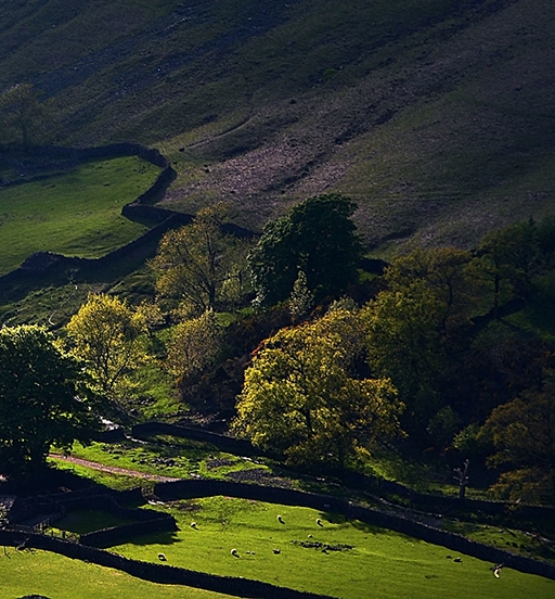粉象生活新用户ID