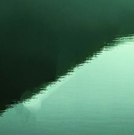 如何成为粉象合伙人