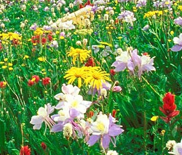 粉象生活靠谱吗