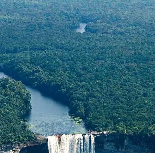 粉象生活绑定邀请人什么意思
