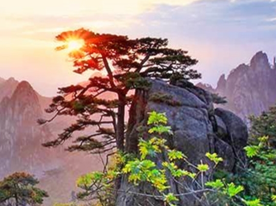 粉象生活邀请