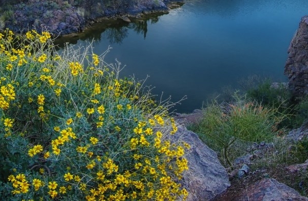 粉象生活邀请码可以改吗